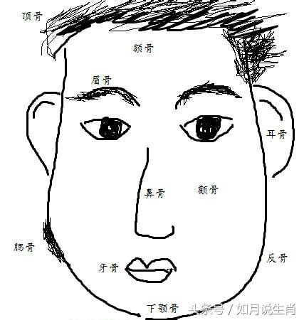 腮骨大男|腮幫子大的男人面相解析